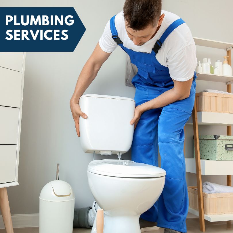 Plumbing Company in Ada, MI